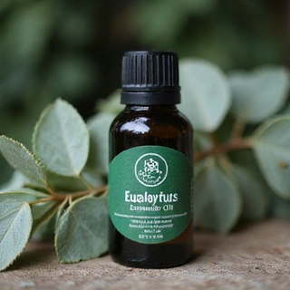 Olio Essenziale di Eucalipto